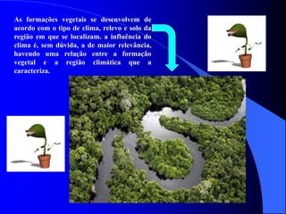 As formações vegetais se desenvolvem de
acordo com o tipo de clima, relevo e solo da
região em que se localizam. a influência do
clima é, sem dúvida, a de maior relevância,
havendo uma relação entre a formação
vegetal e a região climática que a
caracteriza.
 