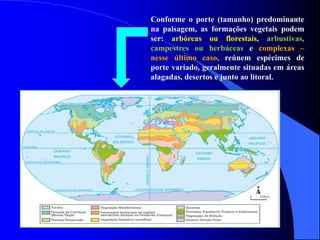 Conforme o porte (tamanho) predominante
na paisagem, as formações vegetais podem
ser: arbóreas ou florestais, arbustivas,
campestres ou herbáceas e complexas –
nesse último caso, reúnem espécimes de
porte variado, geralmente situadas em áreas
alagadas, desertos e junto ao litoral.
 