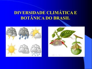 DIVERSIDADE CLIMÁTICA E
BOTÂNICA DO BRASIL
 