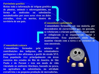 Patrimônio genético
Reúne toda a informação de origem genética
de plantas, animais e microrganismos, na
forma de moléculas ou substâncias
metabolizadas por esses seres vivos ou deles
extraídas, vivos ou mortos, dentro do
território de um país.
(Comunidade) quilombola
Comunidades formadas, em sua maioria, por
descendentes de escravizados que, no passado,
se rebelaram e criaram quilombos – locais onde
se refugiavam e se organizavam social e
politicamente. Essa população ainda hoje
mantém vínculo com a terra e os costumes de
seus ancestrais.
(Comunidade) caiçara
Comunidades formadas pela mistura de
contribuições dos indígenas, dos colonizadores
portugueses e dos africanos, a partir do século XVI.
Essa população vive principalmente em áreas
costeiras dos estados do Rio de Janeiro, de São
Paulo e do Paraná e tem um modo de vida
vinculado ao ambiente litorâneo, baseado na pesca,
na agricultura de subsistência, na atividade
extrativista e na pequena produção de mercadorias.
 