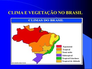 CLIMA E VEGETAÇÃO NO BRASIL
 