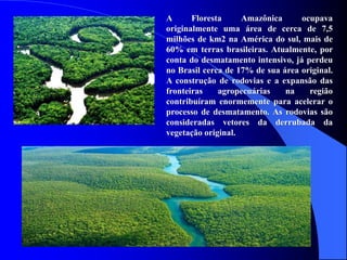 A Floresta Amazônica ocupava
originalmente uma área de cerca de 7,5
milhões de km2 na América do sul, mais de
60% em terras brasileiras. Atualmente, por
conta do desmatamento intensivo, já perdeu
no Brasil cerca de 17% de sua área original.
A construção de rodovias e a expansão das
fronteiras agropecuárias na região
contribuíram enormemente para acelerar o
processo de desmatamento. As rodovias são
consideradas vetores da derrubada da
vegetação original.
 