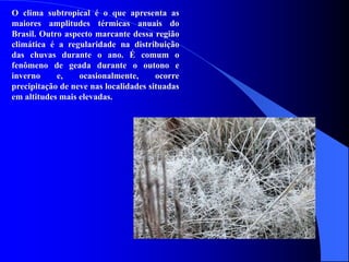 O clima subtropical é o que apresenta as
maiores amplitudes térmicas anuais do
Brasil. Outro aspecto marcante dessa região
climática é a regularidade na distribuição
das chuvas durante o ano. É comum o
fenômeno de geada durante o outono e
inverno e, ocasionalmente, ocorre
precipitação de neve nas localidades situadas
em altitudes mais elevadas.
 