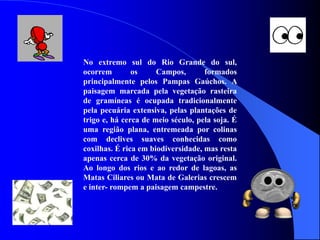 No extremo sul do Rio Grande do sul,
ocorrem os Campos, formados
principalmente pelos Pampas Gaúchos. A
paisagem marcada pela vegetação rasteira
de gramíneas é ocupada tradicionalmente
pela pecuária extensiva, pelas plantações de
trigo e, há cerca de meio século, pela soja. É
uma região plana, entremeada por colinas
com declives suaves conhecidas como
coxilhas. É rica em biodiversidade, mas resta
apenas cerca de 30% da vegetação original.
Ao longo dos rios e ao redor de lagoas, as
Matas Ciliares ou Mata de Galerias crescem
e inter- rompem a paisagem campestre.
 