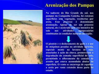 Arenização dos Pampas
No sudoeste do Rio Grande do sul, nos
pampas ou Campanha Gaúcha, há extensas
superfícies sem vegetação, recobertas por
areia. Esse processo é denominado
arenização. Apesar de ser um processo
natural, ele é acelerado pelo uso intensivo do
solo nas atividades agropecuárias
combinadas às condições naturais da região.
O pisoteio e o deslocamento do gado e o uso
de máquinas pesadas na atividade agrícola,
especial- mente na lavoura de soja,
associados à ação da chuva, promoveram a
degradação da camada superficial do solo,
permitindo o afloramento da camada de
arenito que estava acomodada abaixo da
superfície. O vento se encarrega de espalhar
a areia por vasta extensão dessa parte do
estado.
 