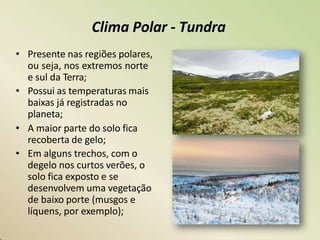 Clima Polar - Tundra
• Presente nas regiões polares,
ou seja, nos extremos norte
e sul da Terra;
• Possui as temperaturas mais
baixas já registradas no
planeta;
• A maior parte do solo fica
recoberta de gelo;
• Em alguns trechos, com o
degelo nos curtos verões, o
solo fica exposto e se
desenvolvem uma vegetação
de baixo porte (musgos e
líquens, por exemplo);
 
