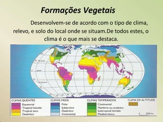 Formações Vegetais
Desenvolvem-se de acordo com o tipo de clima,
relevo, e solo do local onde se situam.De todos estes, o
clima é o que mais se destaca.
 