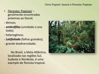 Clima Tropical- Savana e Florestas Tropicais
• Florestas Tropicais –
geralmente encontradas
próximas ao litoral;
- densas;
- ombrófilas (umidade o ano
todo);
- heterogênea;
- Latifoliada (folhas grandes);
- grande biodiversidade;
No Brasil, a Mata Atlântica,
localizada nas regiões Sul,
Sudeste e Nordeste, é uma
exemplo de floresta tropical.
 