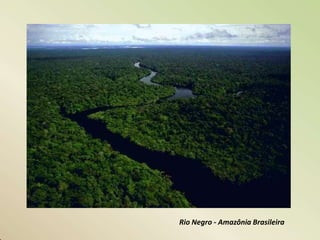 Rio Negro - Amazônia Brasileira
 