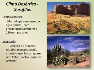Clima Desértico -
Xerófilas
Clima Desértico
Marcado pela escassez de
água (aridez), com
precipitações inferiores a
250 mm por ano;
Vegetação
Presença de espécies
rasteiras (estepes secas),
arbustos espinhosos, quase
sem folhas; cactos (espécies
xerófilas);
 