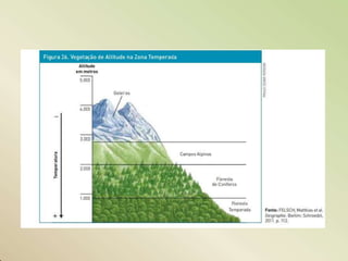 Climas e Formações Vegetais no Mundo.pptx