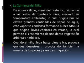 5. La Corriente del Niño
De aguas cálidas, viene del norte incursionando
a las costas de Tumbes y Piura, elevando su
temperatura ambiental, lo cual origina que se
eleven grandes cantidades de vapor de agua,
este vapor se condensa formando nubes NIMBO
que origina lluvias copiosas en verano, lo cual
permite el crecimiento de una densa vegetación
arbórea y herbácea.
Cuando el niño llega hasta Lima e Ica, provoca
grandes desastres , provocando también la
muerte de los peces y aves o su migración.
 
