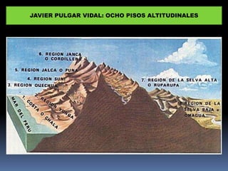 JAVIER PULGAR VIDAL: OCHO PISOS ALTITUDINALES
 