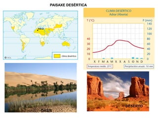 PAISAXE DESÉRTICA

DESERTO
OASIS

 