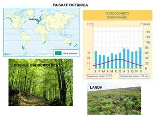 PAISAXE OCEÁNICA

BOSQUE CADUCIFOLIO

LANDA

 