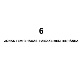 6
ZONAS TEMPERADAS: PAISAXE MEDITERRÁNEA

 
