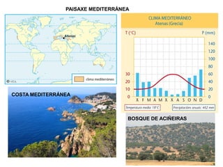 PAISAXE MEDITERRÁNEA

COSTA MEDITERRÁNEA

BOSQUE DE ACIÑEIRAS

 