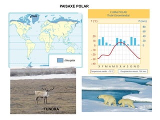 PAISAXE POLAR

TUNDRA

 