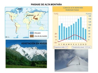 PAISAXE DE ALTA MONTAÑA

VEXETACIÓN EN NIVEIS

 