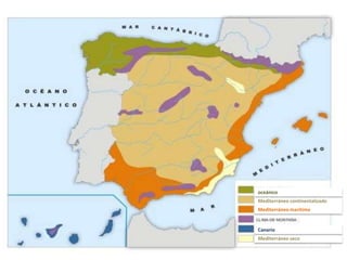 oceánico 
Mediterráneo continentalizado 
Mediterráneo marítimo 
Canario 
Mediterráneo seco 
 