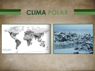 CLIMA POLAR

 