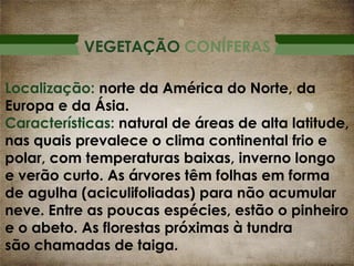 VEGETAÇÃO CONÍFERAS
Localização: norte da América do Norte, da
Europa e da Ásia.
Características: natural de áreas de alta latitude,
nas quais prevalece o clima continental frio e
polar, com temperaturas baixas, inverno longo
e verão curto. As árvores têm folhas em forma
de agulha (aciculifoliadas) para não acumular
neve. Entre as poucas espécies, estão o pinheiro
e o abeto. As florestas próximas à tundra
são chamadas de taiga.

 