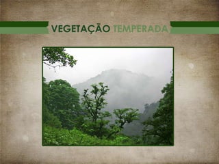 VEGETAÇÃO TEMPERADA

 