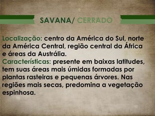 SAVANA/ CERRADO
Localização: centro da América do Sul, norte
da América Central, região central da África
e áreas da Austrália.
Características: presente em baixas latitudes,
tem suas áreas mais úmidas formadas por
plantas rasteiras e pequenas árvores. Nas
regiões mais secas, predomina a vegetação
espinhosa.

 