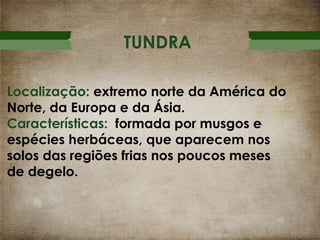 TUNDRA
Localização: extremo norte da América do
Norte, da Europa e da Ásia.
Características: formada por musgos e
espécies herbáceas, que aparecem nos
solos das regiões frias nos poucos meses
de degelo.

 