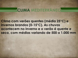 CLIMA MEDITERRÂNEO
Clima com verões quentes (média 25°C) e
invernos brandos (0-15°C). As chuvas
acontecem no inverno e o verão é quente e
seco, com médias variando de 500 a 1.000 mm

 