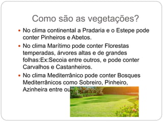Como são as vegetações?
 No clima continental a Pradaria e o Estepe pode
conter Pinheiros e Abetos.
 No clima Marítimo pode conter Florestas
temperadas, árvores altas e de grandes
folhas:Ex:Secoia entre outros, e pode conter
Carvalhos e Castanheiros.
 No clima Mediterrânico pode conter Bosques
Mediterrânicos como Sobreiro, Pinheiro,
Azinheira entre outros.
 