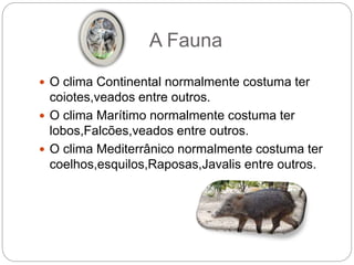 A Fauna
 O clima Continental normalmente costuma ter
coiotes,veados entre outros.
 O clima Marítimo normalmente costuma ter
lobos,Falcões,veados entre outros.
 O clima Mediterrânico normalmente costuma ter
coelhos,esquilos,Raposas,Javalis entre outros.
 