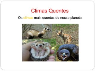 Climas Quentes
Os climas mais quentes do nosso planeta
 