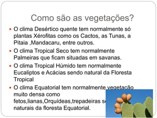 Como são as vegetações?
 O clima Desértico quente tem normalmente só
plantas Xérofitas como os Cactos, as Tunas, a
Pitaia ,Mandacaru, entre outros.
 O clima Tropical Seco tem normalmente
Palmeiras que ficam situadas em savanas.
 O clima Tropical Húmido tem normalmente
Eucaliptos e Acácias sendo natural da Floresta
Tropical
 O clima Equatorial tem normalmente vegetação
muito densa como
fetos,lianas,Orquídeas,trepadeiras sendo
naturais da floresta Equatorial.
 