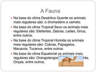 A Fauna
 Na base do clima Desértico Quente os animais
mais regulares são: o dromedário e camelo.
 Na base do clima Tropical Seco os animais mais
regulares são: Elefantes, Zebras, Leões, Gnus,
entre outros.
 Na base do clima Tropical Húmida os animais
mais regulares são: Cobras, Papagaios,
Macacos, Tucanos, entre outros.
 Na base do clima Equatorial os animais mais
regulares são: Orangotangos, Piranhas, Jacarés,
Onças, entre outros.
 