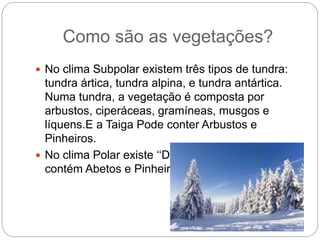 Como são as vegetações?
 No clima Subpolar existem três tipos de tundra:
tundra ártica, tundra alpina, e tundra antártica.
Numa tundra, a vegetação é composta por
arbustos, ciperáceas, gramíneas, musgos e
líquens.E a Taiga Pode conter Arbustos e
Pinheiros.
 No clima Polar existe ‘‘Desertos Gelados’’ que
contém Abetos e Pinheiros.
 