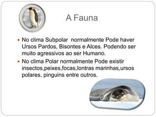 A Fauna
 No clima Subpolar normalmente Pode haver
Ursos Pardos, Bisontes e Alces. Podendo ser
muito agressivos ao ser Humano.
 No clima Polar normalmente Pode existir
insectos,peixes,focas,lontras marinhas,ursos
polares, pinguins entre outros.
 