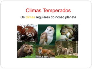 Climas Temperados
Os climas regulares do nosso planeta
 