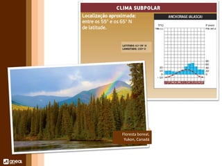 Floresta boreal, 
Yukon, Canadá 
 