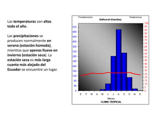 Las temperaturas son altas
todo el año.
Las precipitaciones se
producen normalmente en
verano (estación húmeda),
mientras que apenas llueve en
invierno (estación seca). La
estación seca es más larga
cuanto más alejado del
Ecuador se encuentre un lugar.
 