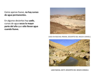 Como apenas llueve, no hay cursos
de agua permanentes.
En algunos desiertos hay uadis,
cursos de agua secos la mayor
parte del año que sólo llevan agua
cuando llueve.
UADI EN NACHAL PARAN, DESIERTO DEL NEGEV (ISRAEL)
UADI NAHAL ZAFIT, DESIERTO DEL NEGEV (ISRAEL)
 