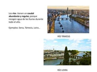 Los ríos tienen un caudal
abundante y regular, porque
recogen agua de las lluvias durante
todo el año.
Ejemplos: Sena, Támesis, Loira…
RÍO LOIRA
RÍO TÁMESIS
 