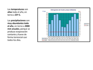 Las temperaturas son
altas todo el año, en
torno a 25º C.
Las precipitaciones son
muy abundantes todo
el año, en torno a 2000
mm anuales, porque se
produce evaporación
contante y llueve de
forma torrencial casi
todos los días.
 