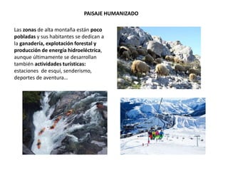 PAISAJE HUMANIZADO
Las zonas de alta montaña están poco
pobladas y sus habitantes se dedican a
la ganadería, explotación forestal y
producción de energía hidroeléctrica,
aunque últimamente se desarrollan
también actividades turísticas:
estaciones de esquí, senderismo,
deportes de aventura…
 