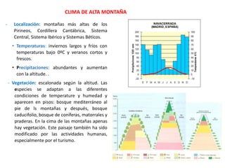 - Localización: montañas más altas de los
Pirineos, Cordillera Cantábrica, Sistema
Central, Sistema Ibérico y Sistemas Béticos.
• Temperaturas: inviernos largos y fríos con
temperaturas bajo 0ºC y veranos cortos y
frescos.
• Precipitaciones: abundantes y aumentan
con la altitude. .
- Vegetación: escalonada según la altitud. Las
especies se adaptan a las diferentes
condiciones de temperature y humedad y
aparecen en pisos: bosque mediterráneo al
pie de ls montañas y después, bosque
caducifolio, bosque de coníferas, matorrales y
praderas. En la cima de las montañas apenas
hay vegetación. Este paisaje también ha sido
modificado por las actividades humanas,
especialmente por el turismo.
CLIMA DE ALTA MONTAÑA
 