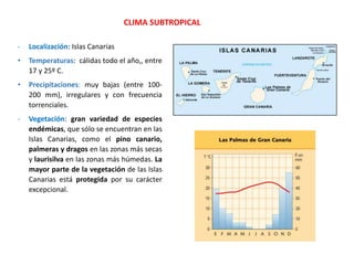 - Localización: Islas Canarias
• Temperaturas: cálidas todo el año,, entre
17 y 25º C.
• Precipitaciones: muy bajas (entre 100-
200 mm), irregulares y con frecuencia
torrenciales.
- Vegetación: gran variedad de especies
endémicas, que sólo se encuentran en las
Islas Canarias, como el pino canario,
palmeras y dragos en las zonas más secas
y laurisilva en las zonas más húmedas. La
mayor parte de la vegetación de las Islas
Canarias está protegida por su carácter
excepcional.
CLIMA SUBTROPICAL
 