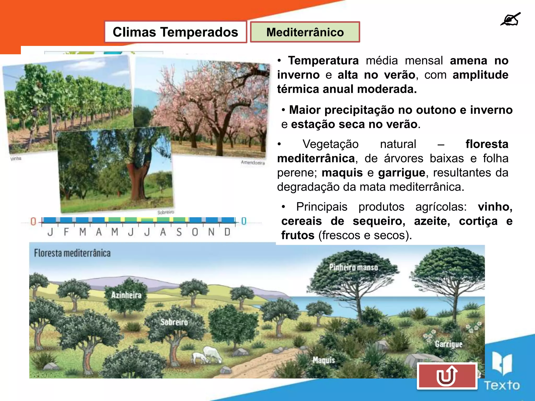 Slide 12