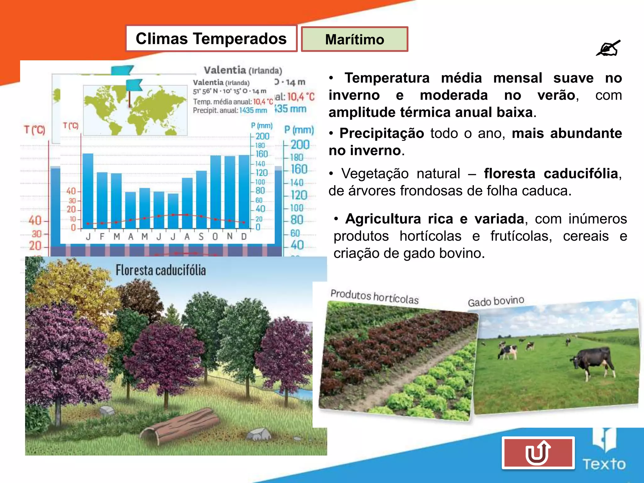 Slide 13