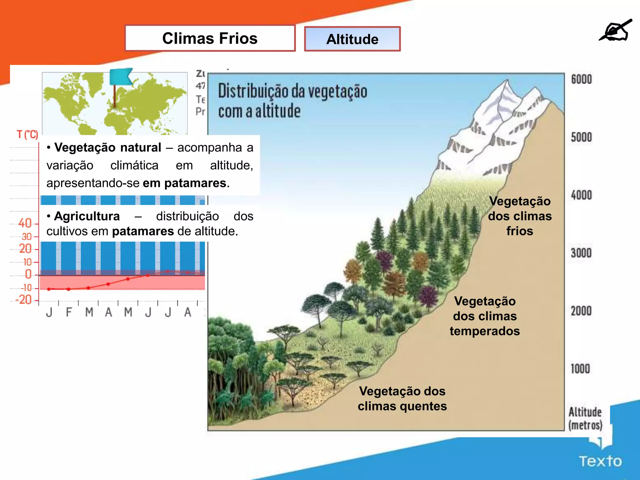 Slide 17