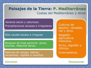 Paisajes de la Tierra: P. Mediterráneo
Costas del Mediterráneo y otros
Internenes PiensoyJuego
Veranos secos y calurosos.
Precipitaciones escasas e irregulares
Ríos caudal escaso e irregular.
Bosques de hoja perenne: pinos,
encinas. Matorral denso.
Ratones de campo, liebres,
serpientes, reptiles e insectos.
Cultivos de
secano: cereales,
vid y olivo.
Regadío:
agricultura
intensiva.
Arroz, algodón y
cítricos.
Invernaderos.
 